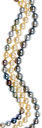Coleman Douglas Pearls