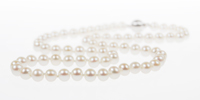 Coleman Douglas Pearls