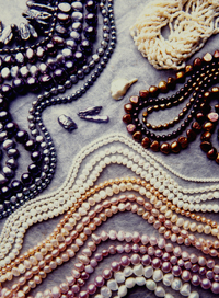 Coleman Douglas Pearls