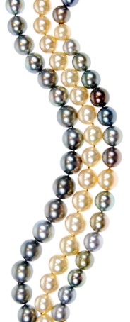 Coleman Douglas Pearls