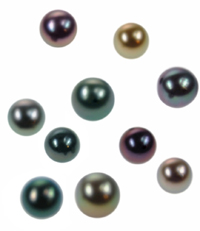 Coleman Douglas Pearls