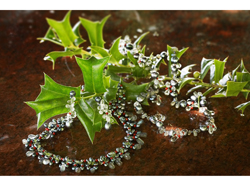 Coleman Douglas Pearls