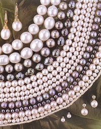 Coleman Douglas Pearls