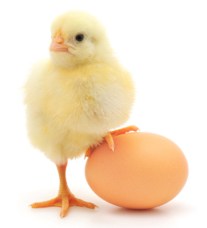 Easter 2