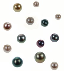 535 Scattered pearls