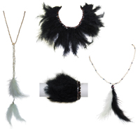 Feather collection