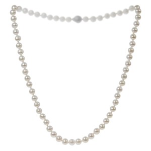 FWLrg main image Large